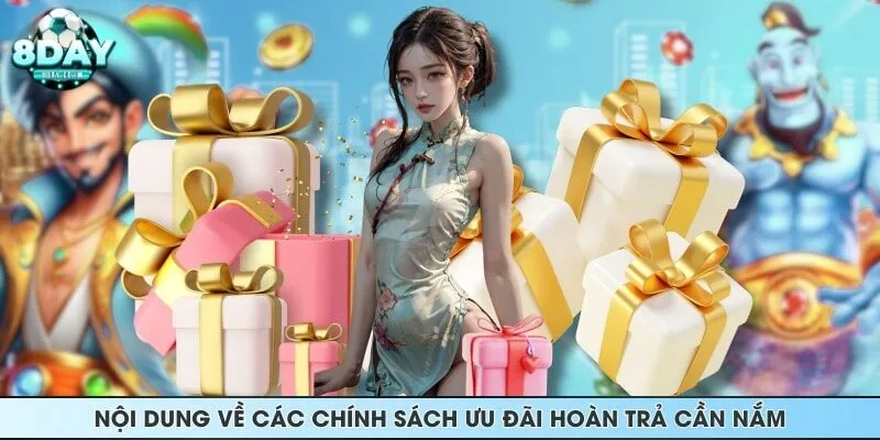 Nội dung về các chính sách ưu đãi hoàn trả cần nắm