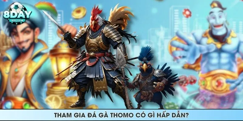 Tham gia đá gà Thomo có gì hấp dẫn?